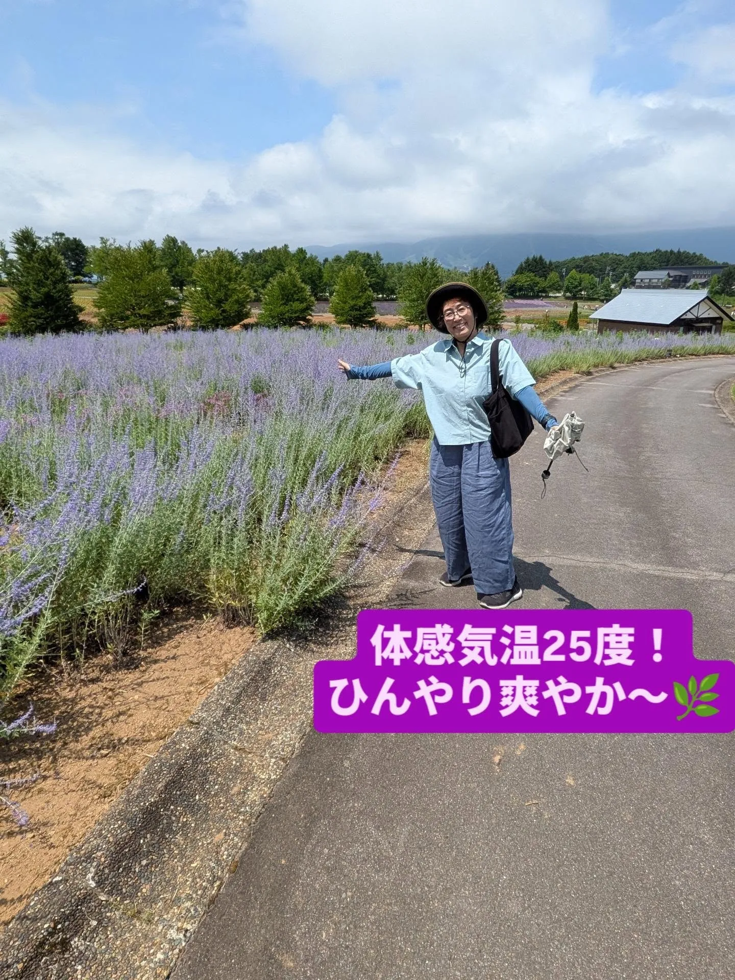 ひるがの高原