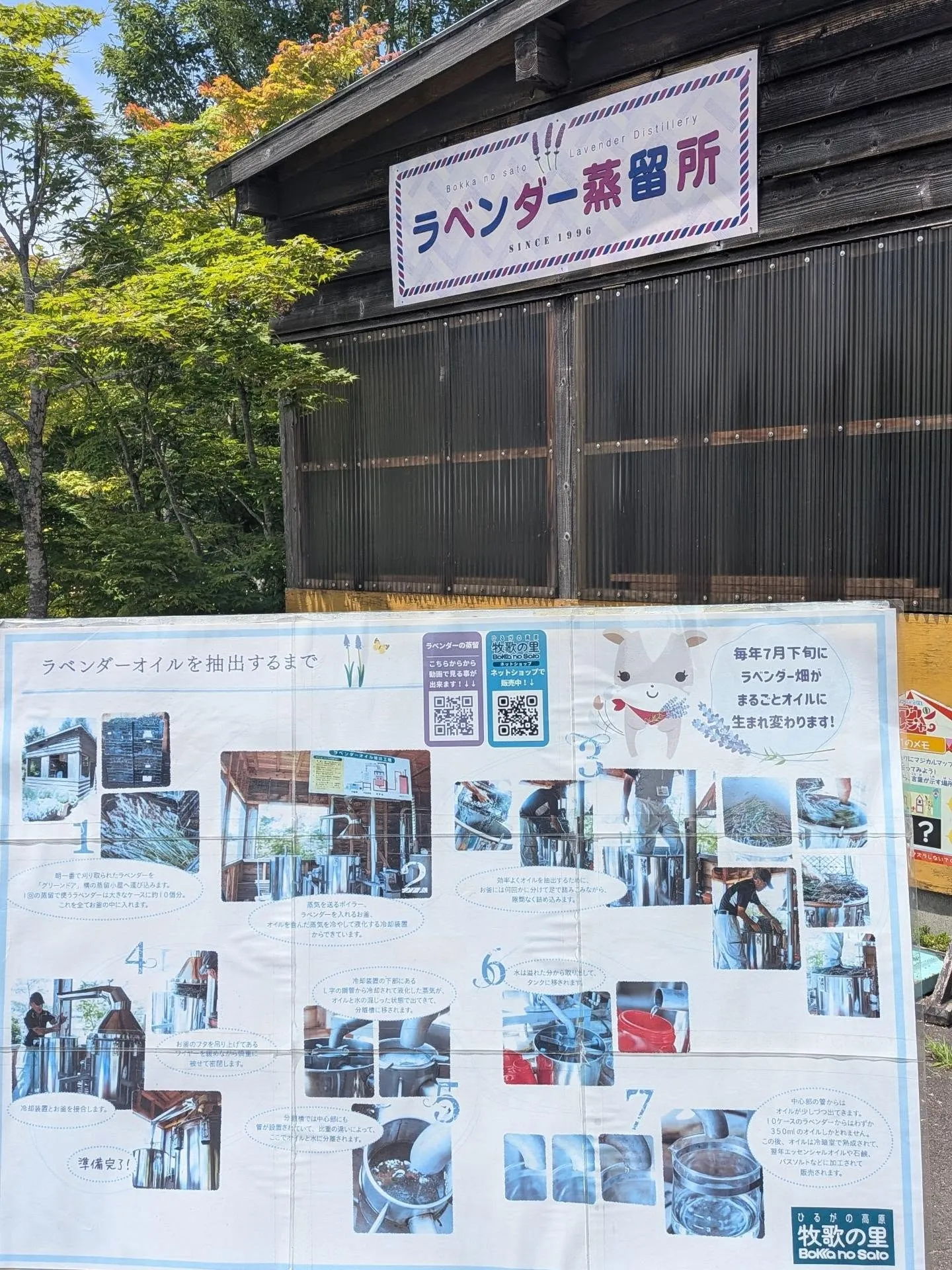 ひるがの高原