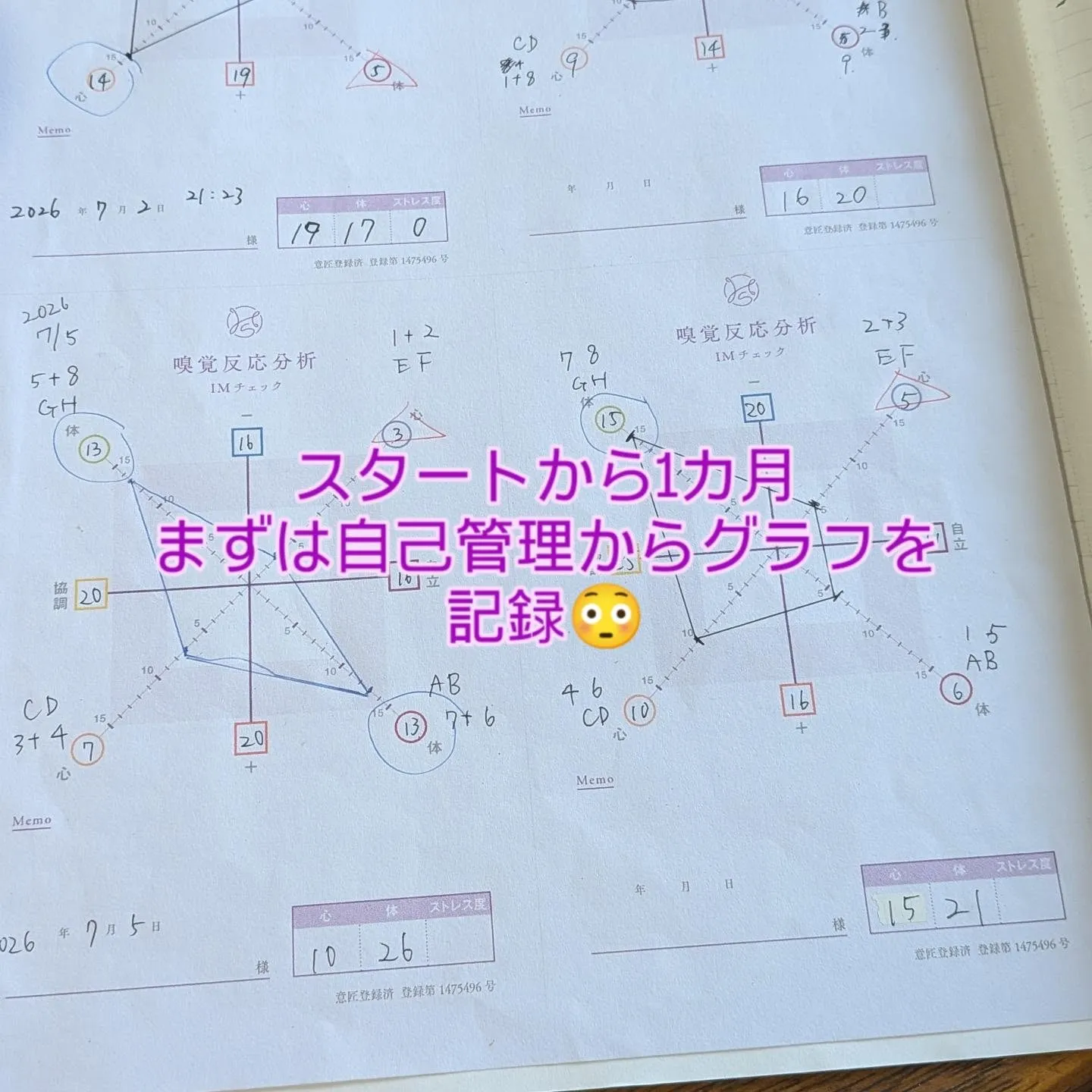7月初旬から始まった