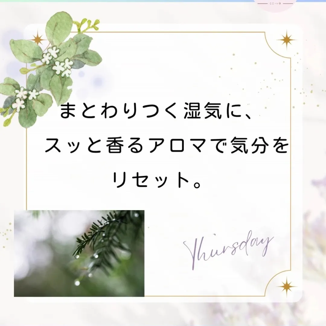 5月も後半になりました。