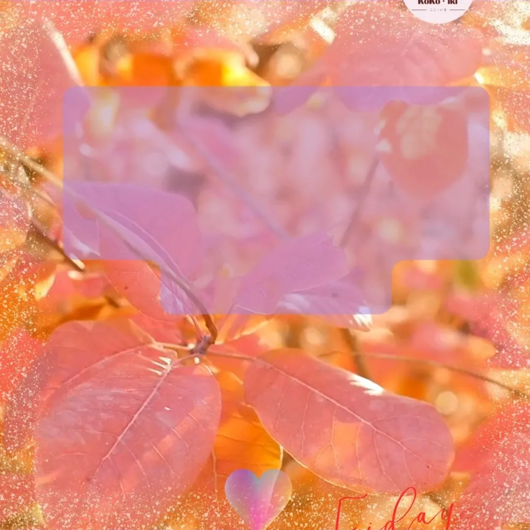 おはようございます。