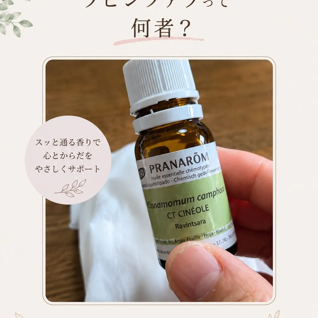 前回の投稿でご紹介した「ラビンツァラ」🌿
