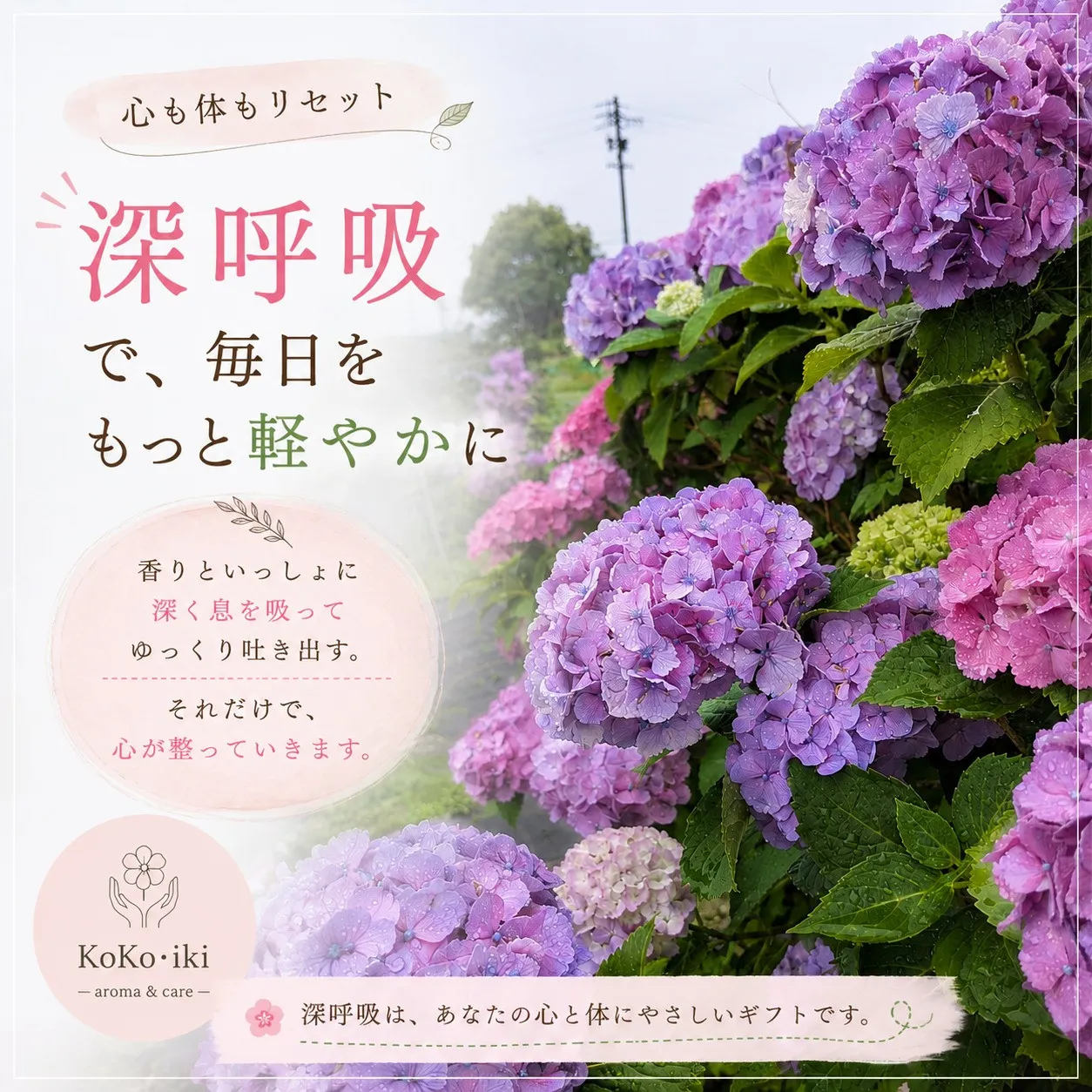梅雨の時期、外に出るのも億劫になりませんか？