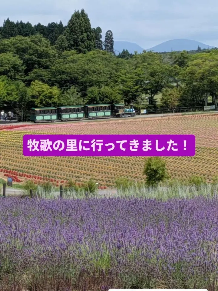 ひるがの高原